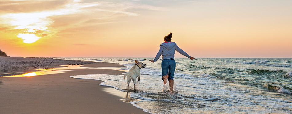 Happy woman on the beach with a dog