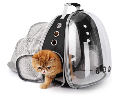 18 Best Cat Backpacks for Traveling Cats in 2022: Pet Carrier