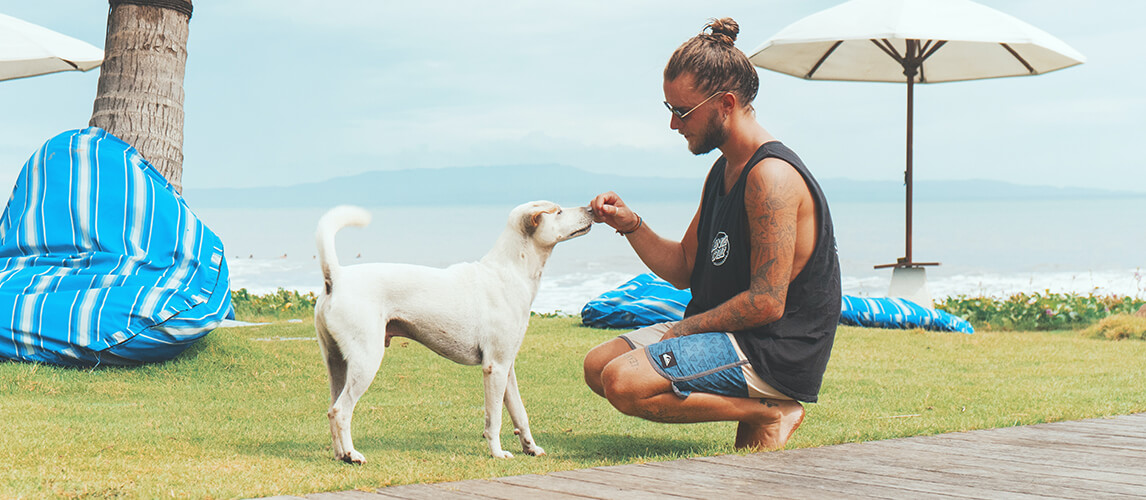 Man Feeding a Dog