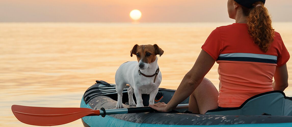 Red-haired young woman is rowing on an inflatable kayak by the sea with a dog Jack Russell Terrier on a background of pink sunrise in beautiful nature. 