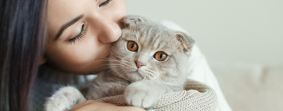 Beautiful young woman with cute cat resting at home