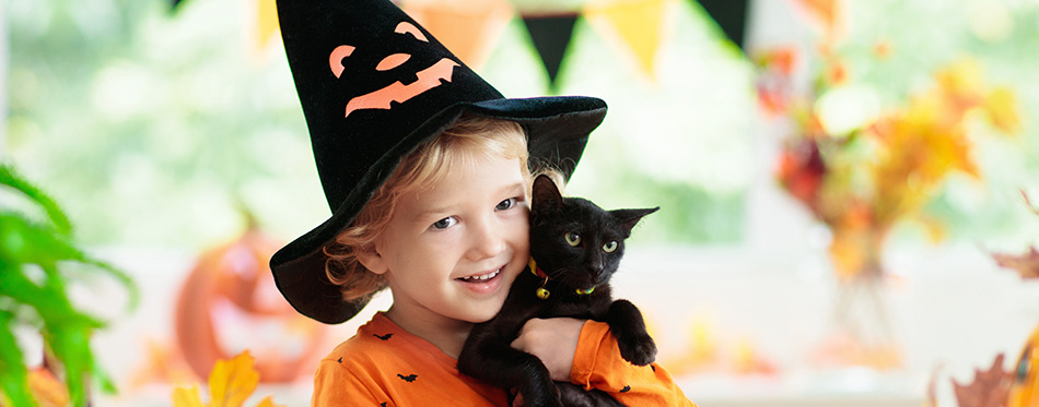 Child in Halloween costume. 