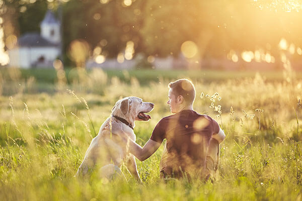 Rear view of young man with dog (labrador retriver) in nature at sunset.