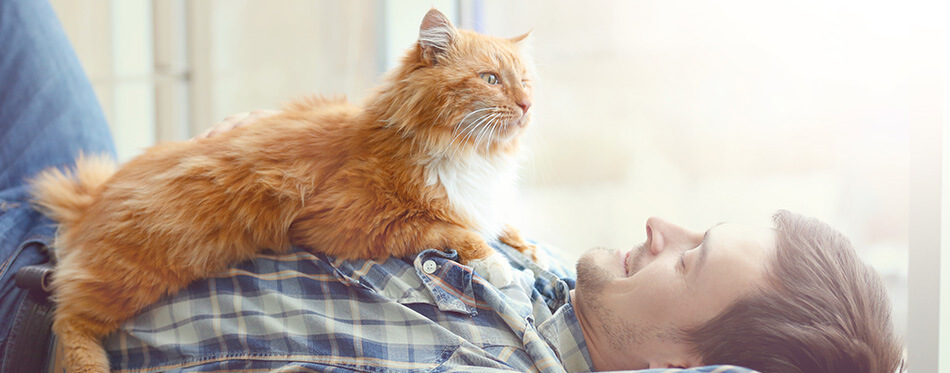 Young man with cute cat lying on floor near window