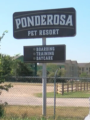 texas pet resort