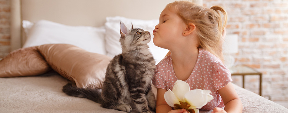 Little girl relaxing on the bed with her kitten.