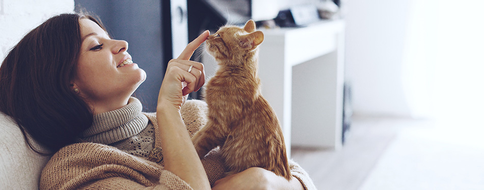 Young woman wearing warm sweater is resting with a cat on the armchair at home one autumn day