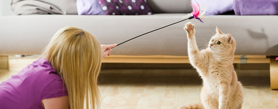 Girl playing with her cat