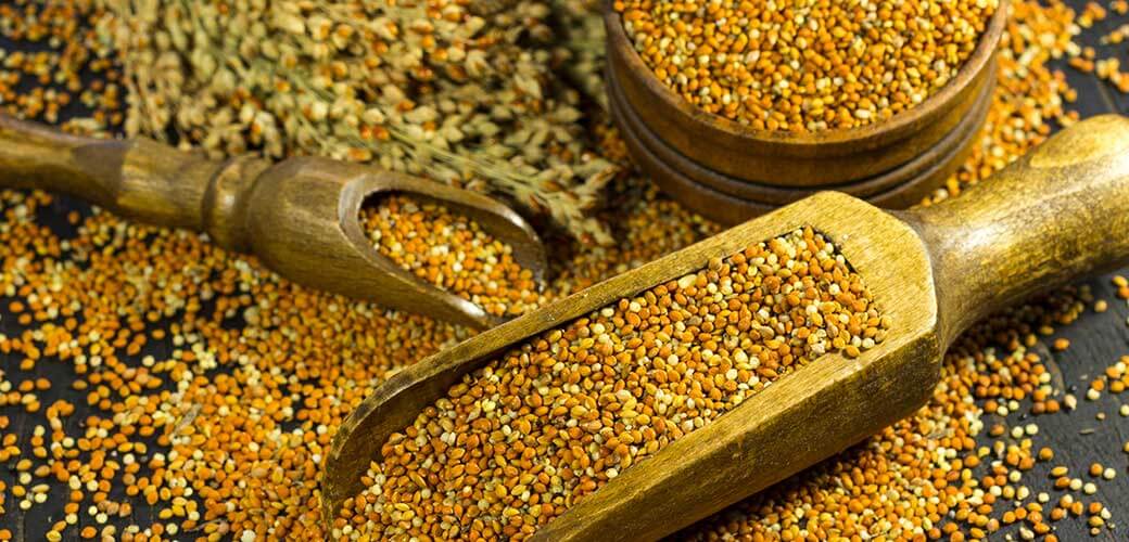 Grains of millet in a wooden box and in a wooden spoon.