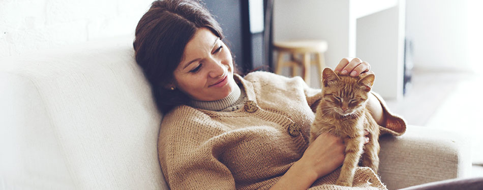 Young woman wearing warm sweater is resting with a cat on the armchair at home