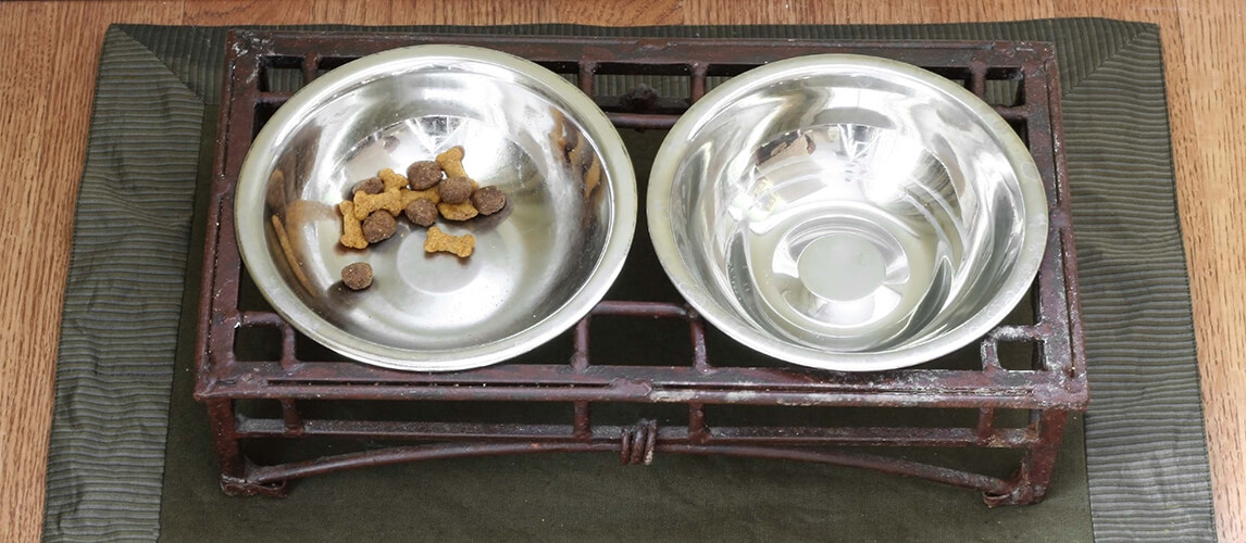 Two bowls with dog food and water