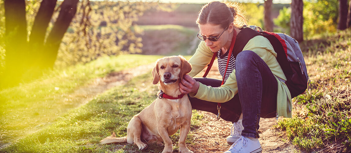 Woman picking a tick on dog fur