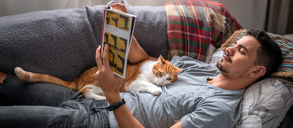 white and brown cat falls asleep on its owner who reads lying on a sofa under the window