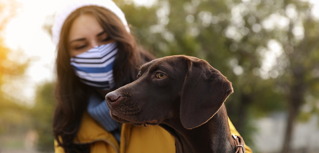 Walking dog during COVID-19 pandemic