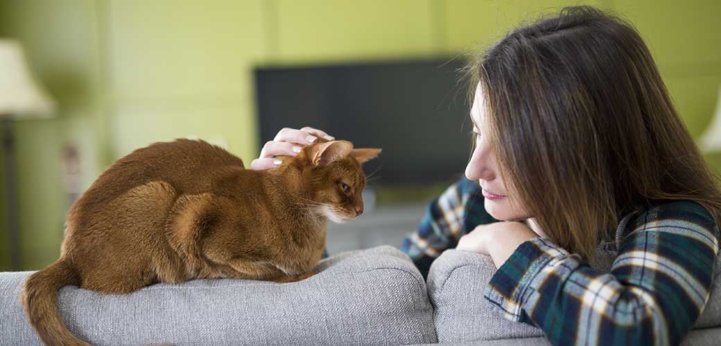 A girl watching tv with cat in the living room