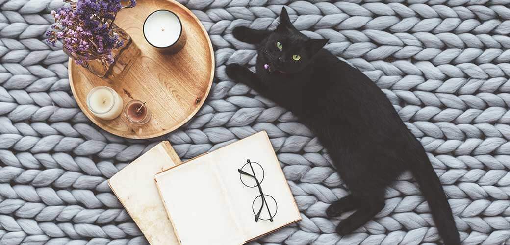 Black cat relaxing on knitted woolen chunky blanket.