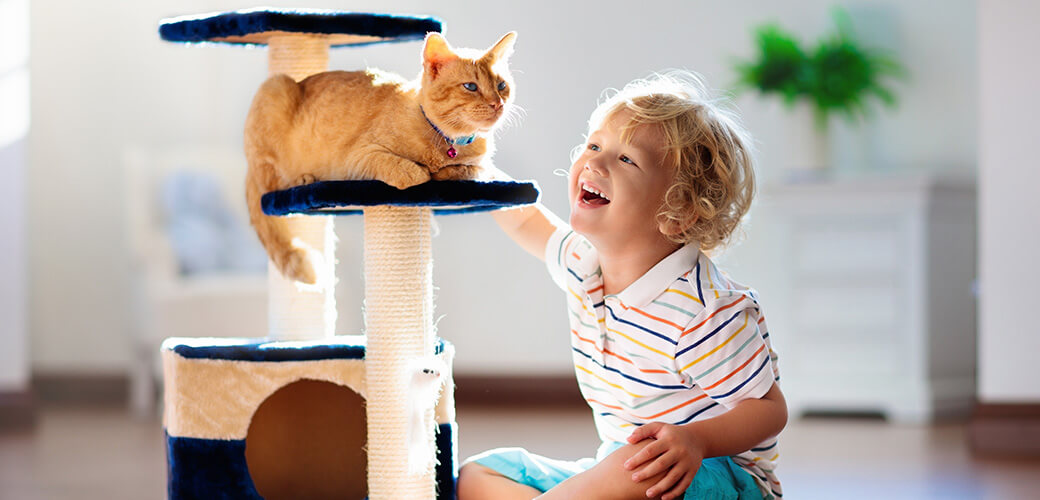 Child playing with cat at home. 
