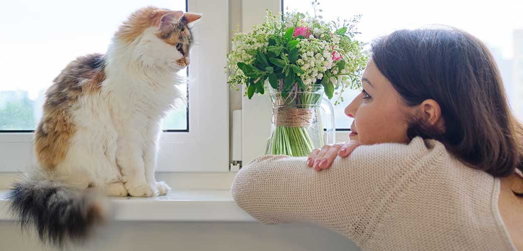 Friendship of mature woman and adult tricolor cat, pet sitting on the windowsill and female looking admiring the animal