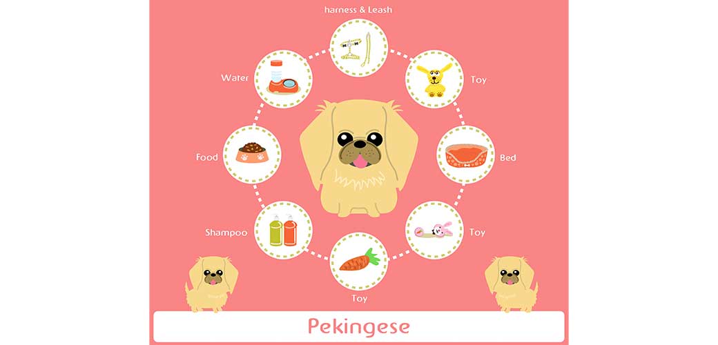 Pekingese Care