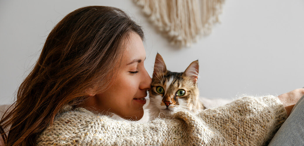 Portrait of young woman holding cute siberian cat with green eyes. 