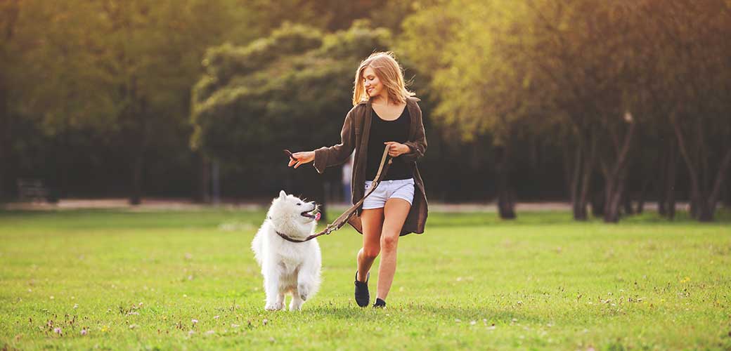 Pretty girl playing and running with samoyed dog at the park outdoor