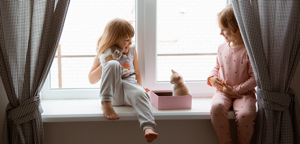 little girl children play on the window with kittens at home