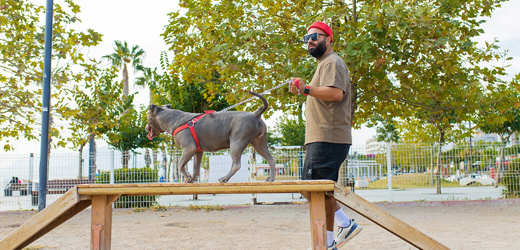 handsom man in red hat and sunglasses training dog outdoors in sity park zone dog walking area background