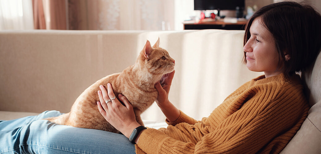 Young asian woman resting with pet in sofa at home in sunny.