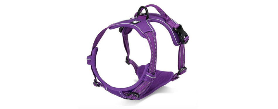 Juxzh Dog Harness Size Chart