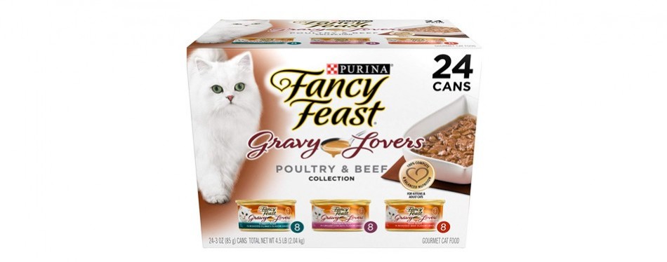 The Best Wet Cat Food Review In 2020 Pet Side
